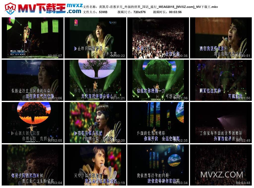 黄凯芹-青葱岁月_外面的世界_国语_流行_MEA02015